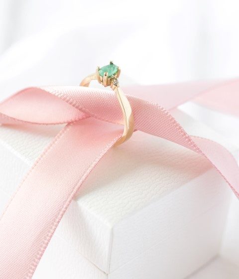 1M9A6586 (Small)